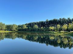 -东郊湿地公园