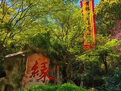 -杭州黄龙洞