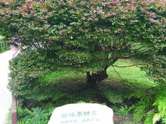 -庐山风景区花径公园