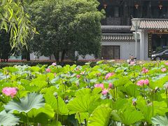 -重庆园博园