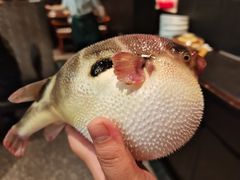 -永安鱼庄·镇江菜(东吴路店)