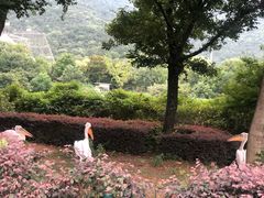 -无锡动物园·太湖欢乐园