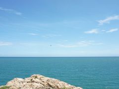 -广东惠东海龟国家级自然保护区