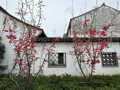 -青果巷历史文化街区