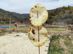 -宁波浙东大竹海景区