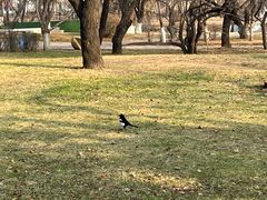 -二一九公园