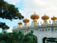 -上海东林寺(金山区)