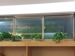 -金塔傣乡·云南民族特色菜·傣味手抓饭(金瓦路店)