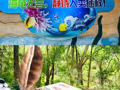 -广东惠东海龟国家级自然保护区