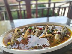 -呼吸森林·生态农庄农家乐私房菜