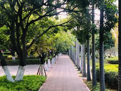 -厦门大学(思明校区)