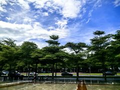 -深圳国际园林花卉博览园