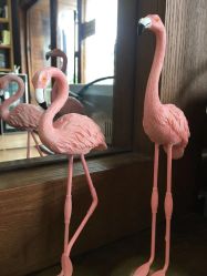 点击看大图 -丝语萱形象