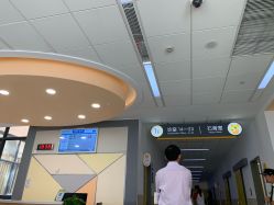 -上海交通大学医学院附属上海儿童医学中心(陆家嘴总院区)