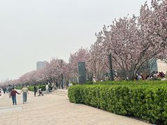 -天津万象城