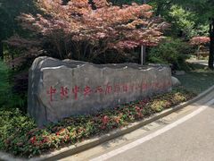 -缙云山景区
