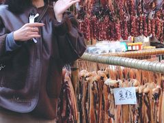 -广州市流溪河国家森林公园