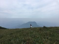 -白草畔自然风景区