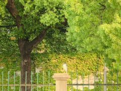 -干老庆贵州留一手烤鱼·地摊火锅(财经大学店)