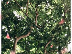 -阿莉餐厅(枣阳路店)