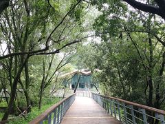 -西湖风景区-江洋畈生态公园