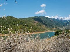 -广州市流溪河国家森林公园