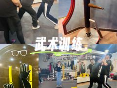 -温鉴良实用咏春拳