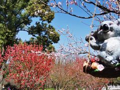-苏州上方山国家森林公园