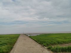 -南汇嘴观海公园