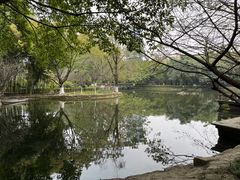 -望江楼公园