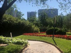 -中央广播电视总台(光华路办公区)