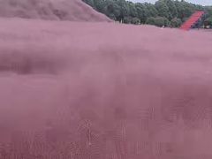 -嘉北郊野公园