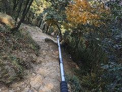-树山生态村
