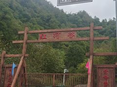 -陕西省红河谷森林公园