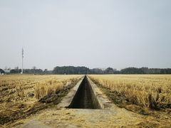 -嘉北郊野公园
