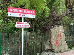 -鹿院坪生态旅游景区