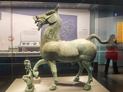 -广西壮族自治区博物馆