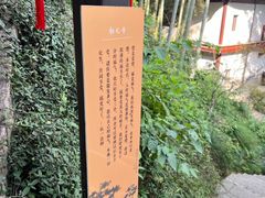 -韬光茶庵
