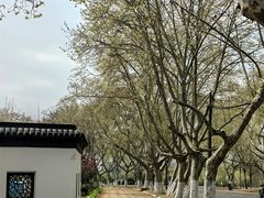 -泰州凤城河风景区-泰山公园