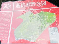 -白水寺森林公园