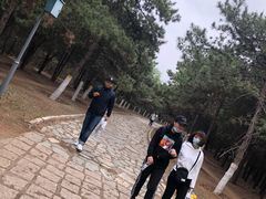-云岗森林公园