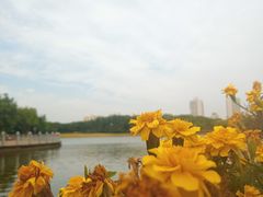 -黄兴公园