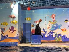 -太平洋海底世界