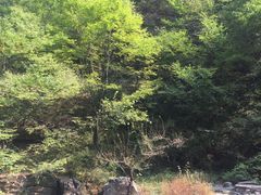-孤山寨风景区