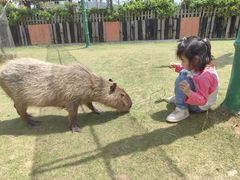-南京金牛湖风景区