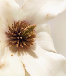 -今日陶艺(富力广场店)