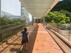 -香港大学