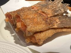 -阿里家·新疆烤肉酒場