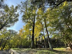 -阳台山自然风景区