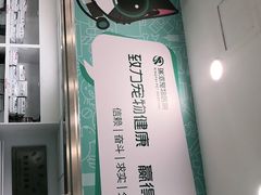 -瑞派先诺宠物医院•猫专科•普外科•中兽医(佛山院)